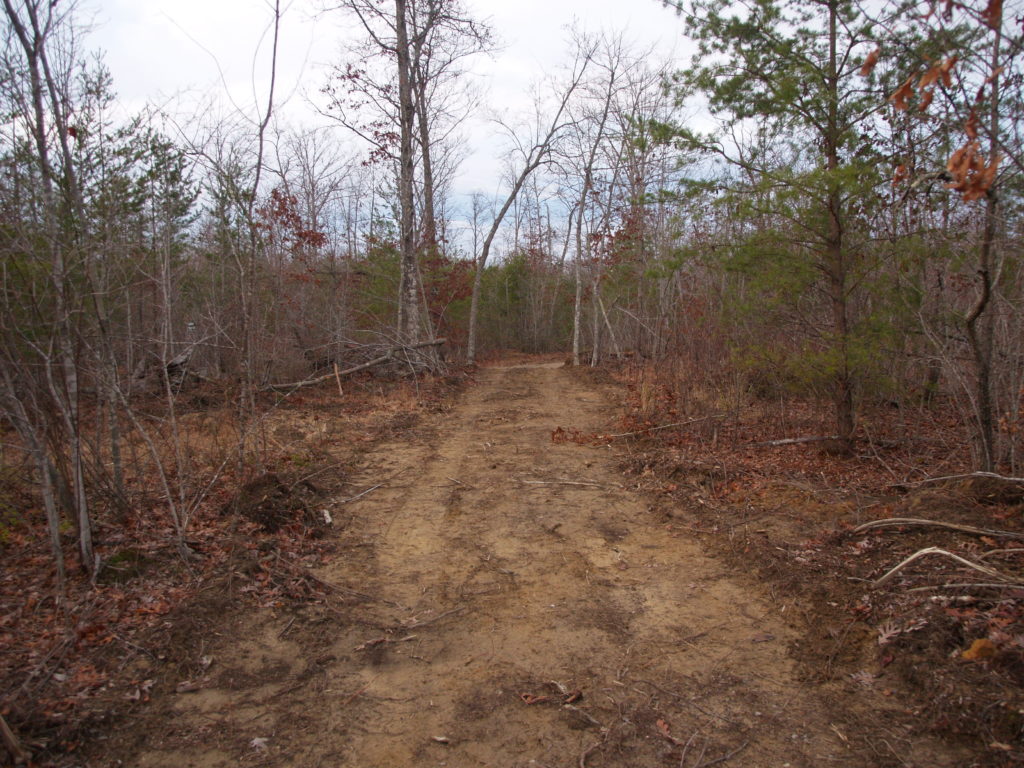 Goose Creek Homestead- Our Top Considerations When Choosing Land for our Homestead