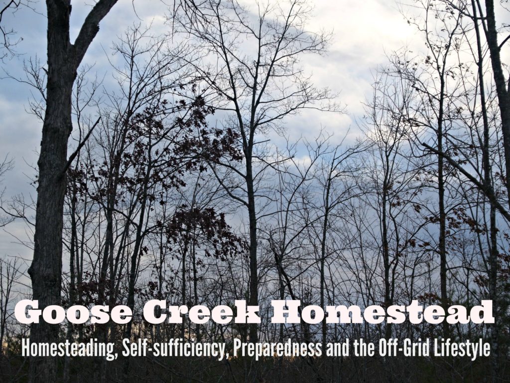 Goose Creek Homestead - Homesteading, Self-sufficiency, Preparedness and the Off-Grid Lifestyle