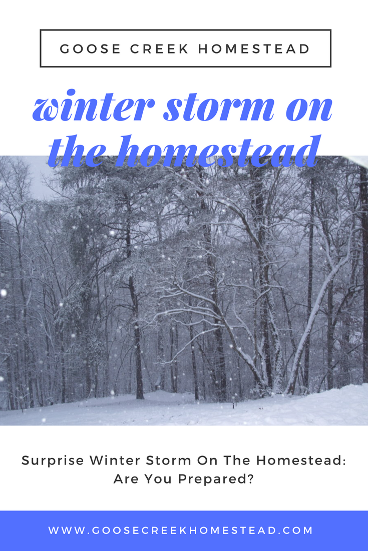 Surprise Winter Storm On The Homestead_ Are You Prepared_; Goose Creek Homestead