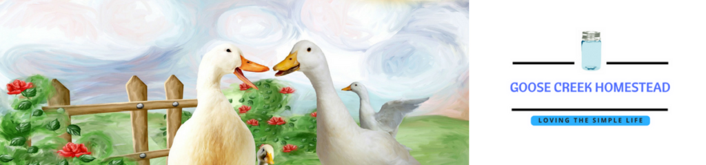 Goose Creek Homestead WP Header