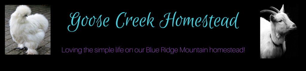 Goose Creek Homestead