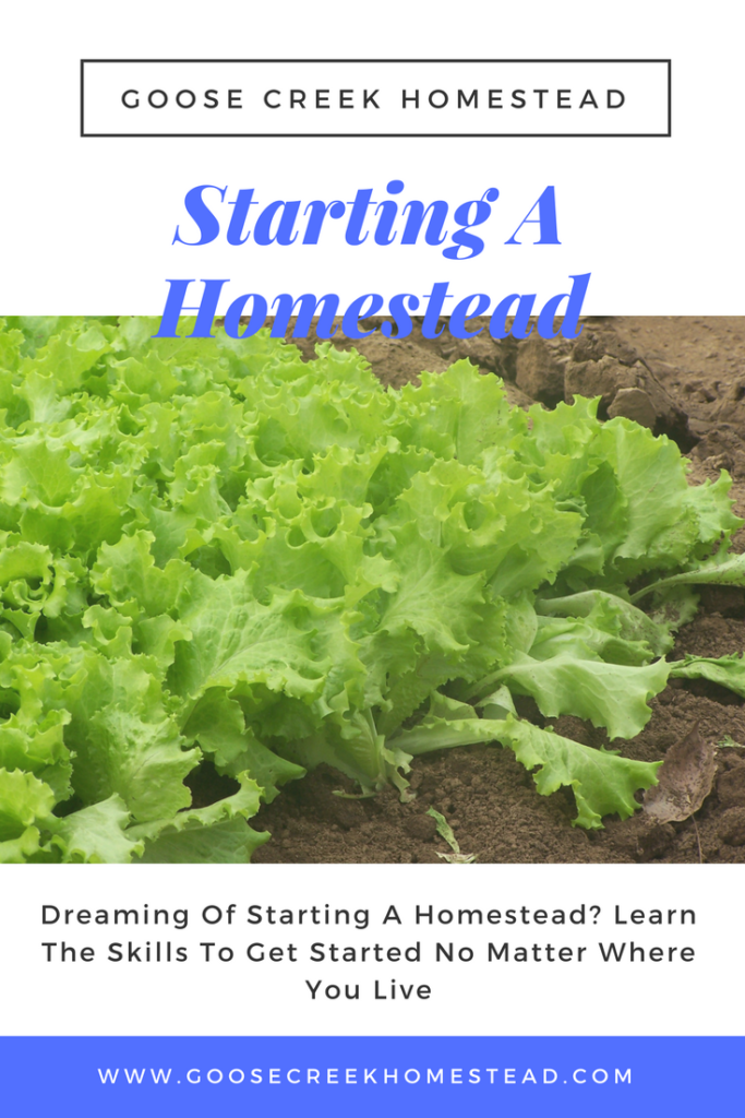 dreaming-of-starting-a-homestead-learn-the-skills-to-get-started-no