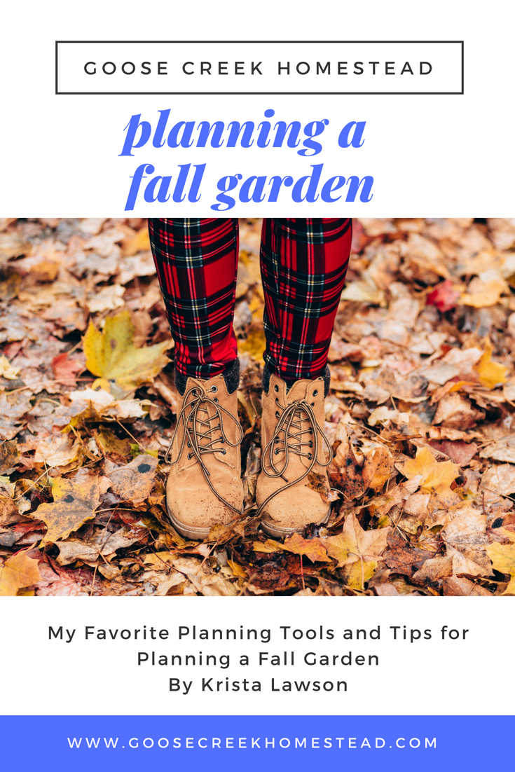 My Favorite Tools and Tips for Planning a Fall Garden