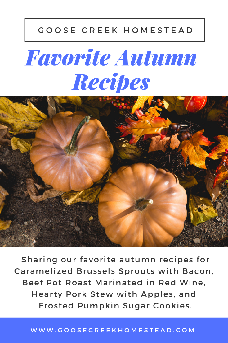 Favorite Autumn Recipes: 4 Things I Can’t Wait to Make This Fall