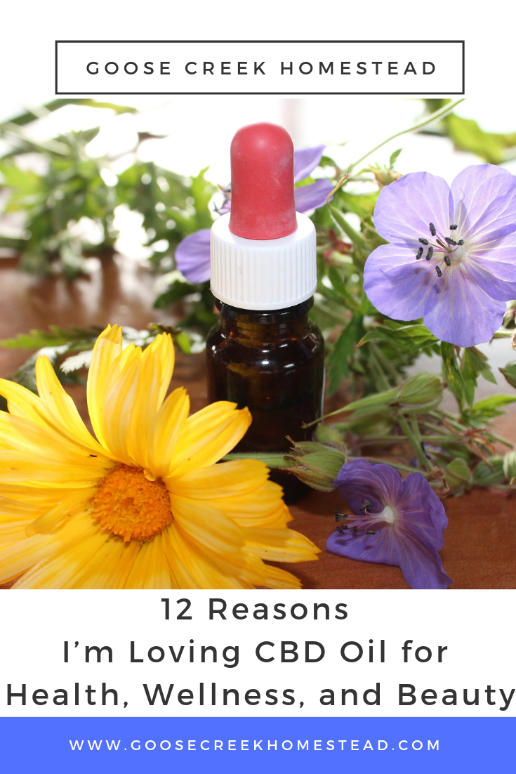 12 Reasons I'm Loving CBD Oil for Health, Wellness, and Beauty