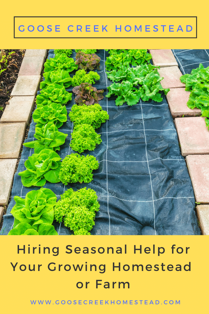 Hiring Seasonal Help for Your Growing Homestead or Farm