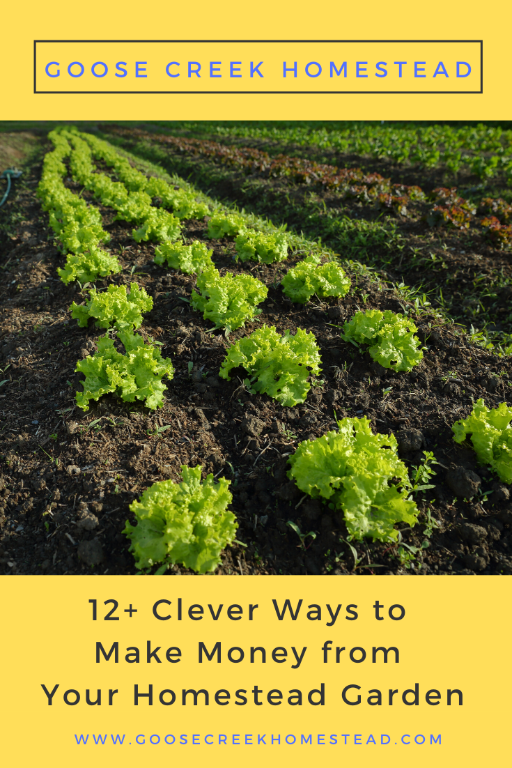12+ Clever Ways to Make Money from Your Homestead Garden
