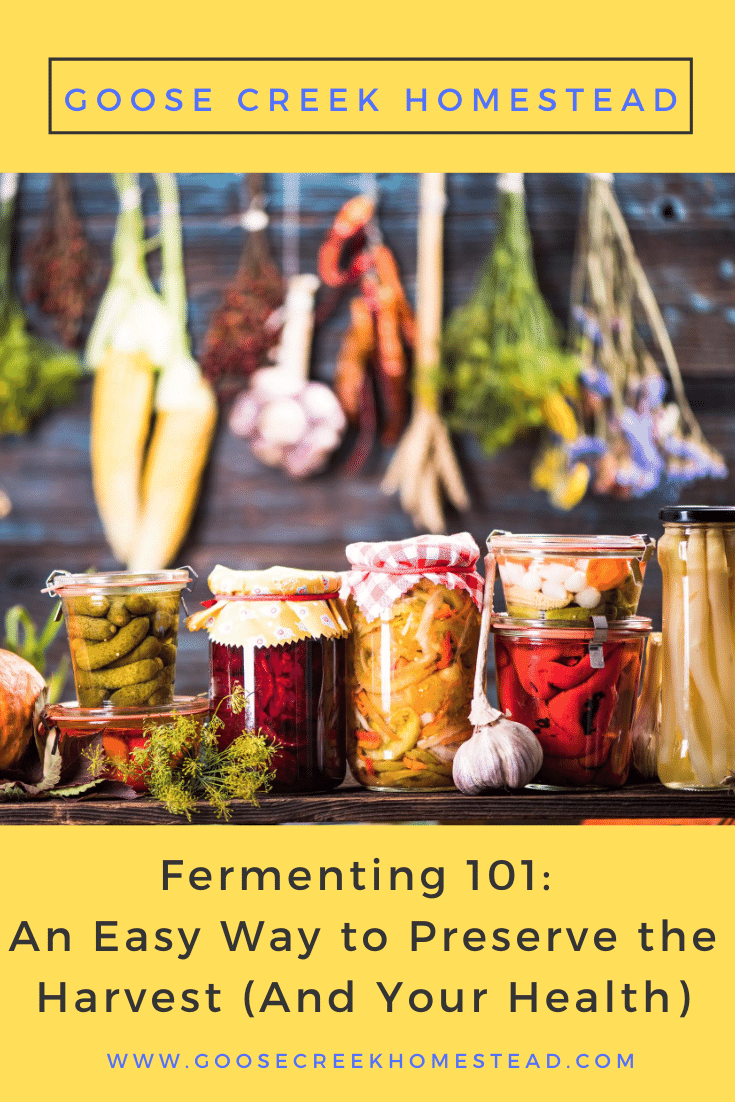 Fermenting 101: An Easy Way to Preserve the Harvest (And Your Health)