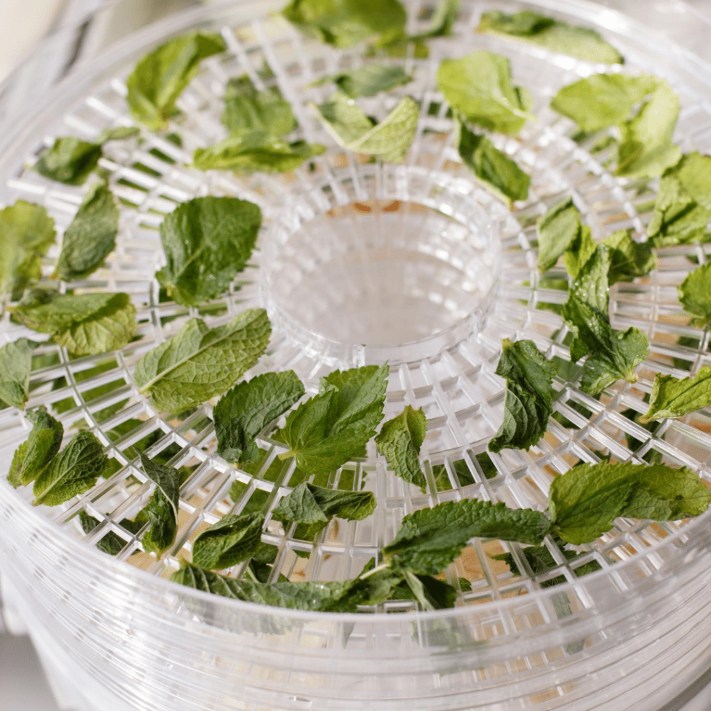 Methods of Dehydrating Food for Storage