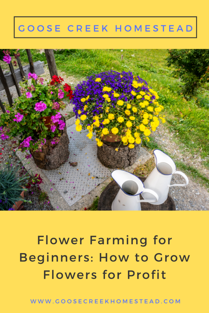 Flower Farming for Beginners How to Grow Flowers for Profit Goose