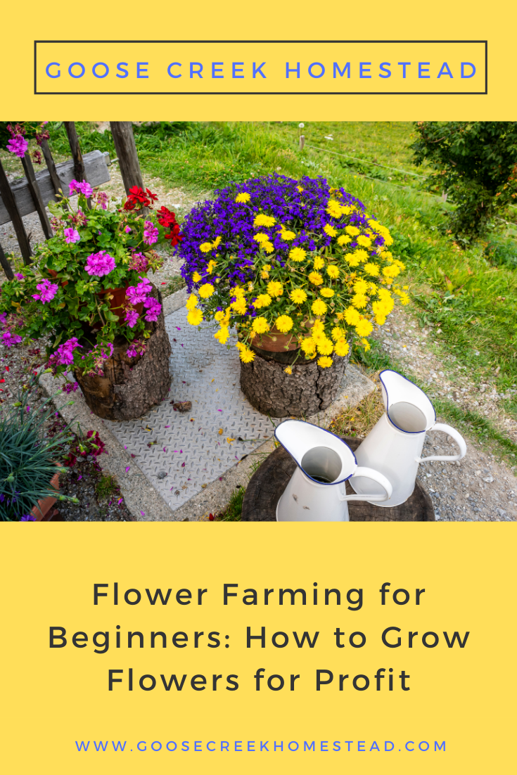 Flower Farming for Beginners: How to Grow Flowers for Profit