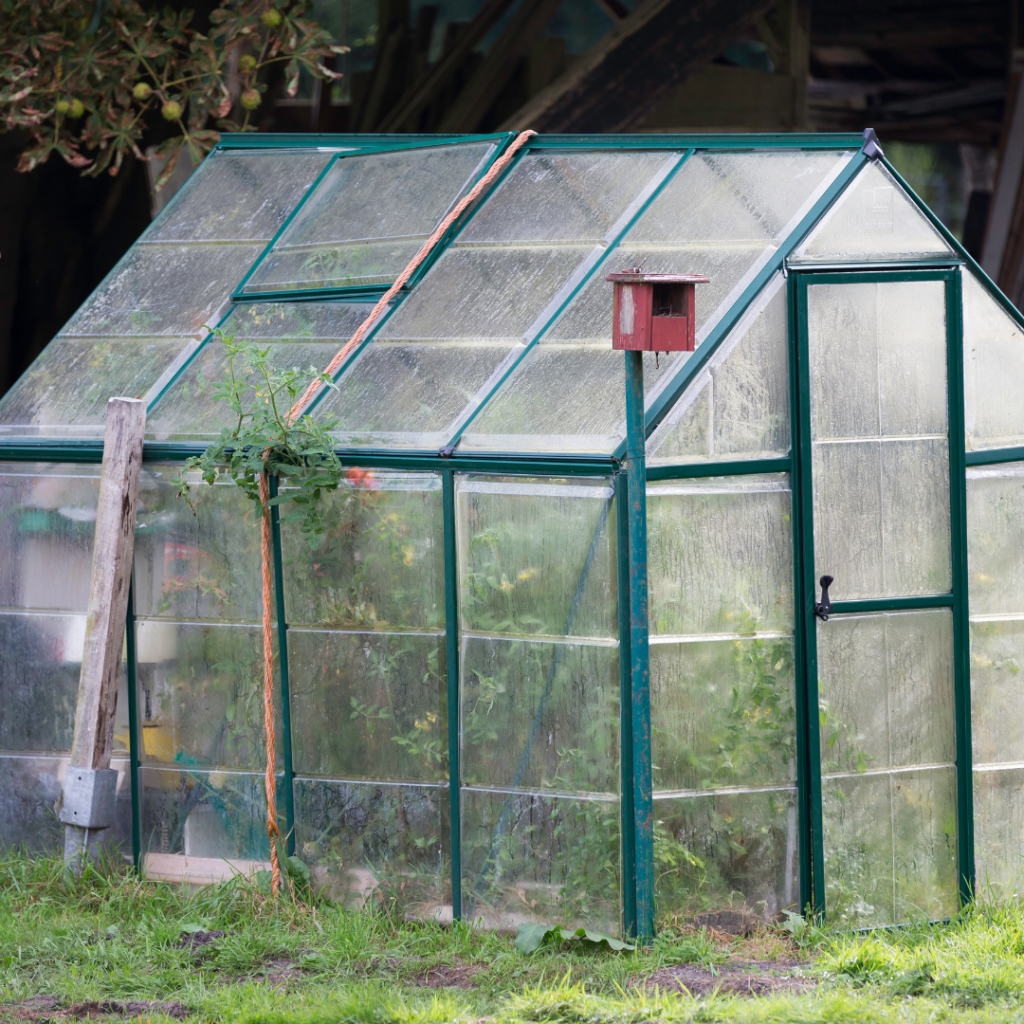 The Little Greenhouse at Goose Creek Homestead