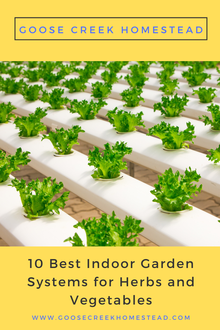 10 Best Indoor Garden Systems for Herbs and Vegetables
