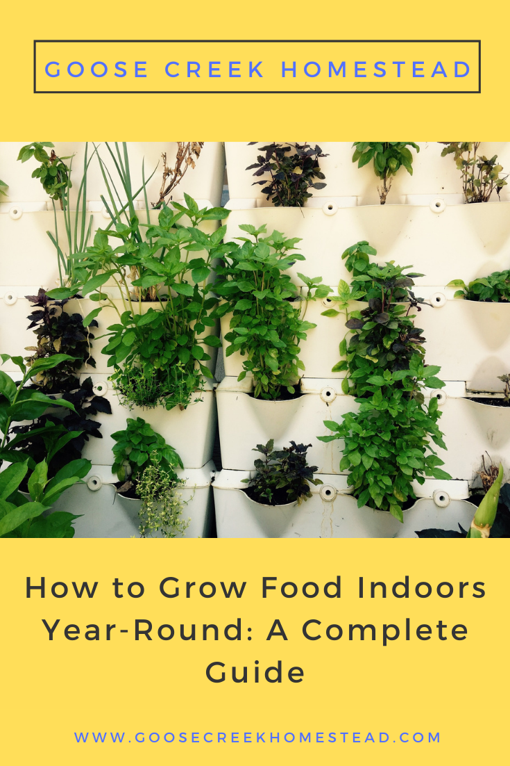 How to Grow Food Indoors Year-Round: A Complete Guide